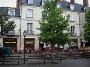 Tours - Casas, cafetería con terraza y árboles en lugar Plumereau