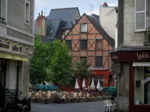 Tours - Casas y cafés de la plaza Plumereau