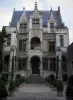 Tours - Hôtel Gouin de style Renaissance abritant le musée archéologique de Touraine et alignements d'arbustes en pots