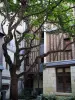 Tours - Timber-framed houses and tree