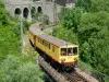 Le train jaune de Cerdagne - Guide tourisme, vacances & week-end dans les Pyrénées-Orientales