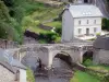 Treignac - Old bridge over the Vézère and houses along the river