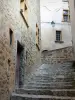 Trévoux - Ruelle en escalier bordée de maisons