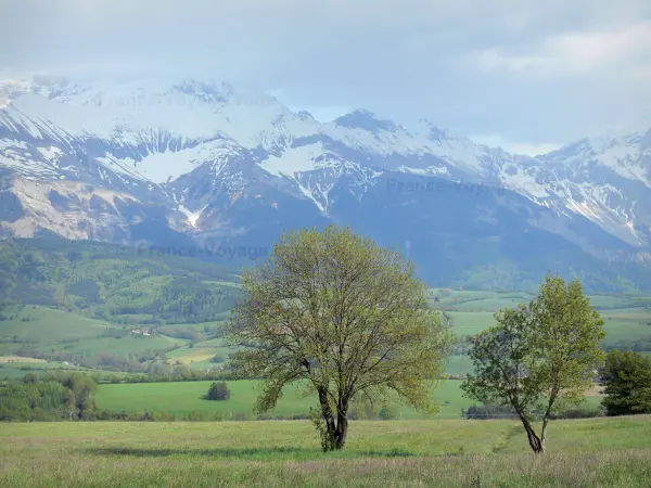 Trièves - Árvores, pastagens e montanhas com picos nevados