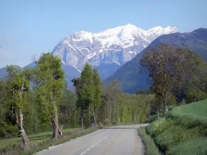 Trièves - Estrada, alinhado, com, árvores, e, prados, negligenciar, a, montanhas, com, nevado, picos