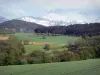 Trièves - Pâturages, arbres, forêt et montagne enneigée (neige)