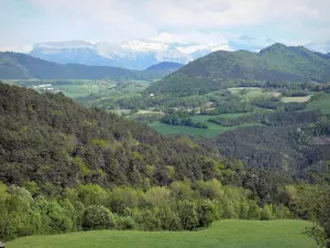 Trièves - Pastagens, florestas e montanhas