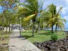 La Trinité - Boulevard omzoomd met bomen en palmen