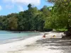 La Trinité - Raisiniers strand omzoomd met bomen en de Atlantische Oceaan