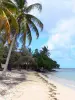 La Trinité - Cove Beach cosmy omzoomd met bomen en kokospalmen