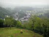 Trôo - From the top of the mound of the village, view of a prairie with a horse, trees and houses