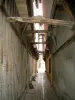 Troyes - Ruelle des Chats (very narrow path)