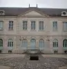 Troyes - Hotel Dieu-le-Comte, het bouwen van woningen een oude apotheek (apotheek museum)