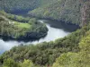 Truyère gorges