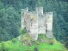 Truyère gorges - Medieval castle of Alleuze perched on its rocky peak, in a verdant setting