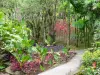 Tuin van Balata - Tropische flora van de Botanische Tuin