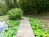 Tuin van Balata - Vijver met waterlelies en reuzenbamboe