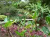Tuin van Balata - Tropische flora van de Botanische Tuin