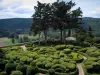 Tuinen van Marqueyssac - Bijgeschoren buxus bomen en met uitzicht op de omliggende heuvels