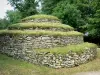 Tumulus de Bougon - Nécropole néolithique de Bougon - Site mégalithique : tumulus