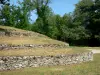 Tumulus de Bougon - Nécropole néolithique de Bougon - Site mégalithique : tumulus