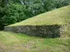 Tumulus de Bougon - Nécropole néolithique de Bougon - Site mégalithique : tumulus