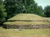 Tumulus de Bougon - Nécropole néolithique de Bougon - Site mégalithique : tumulus