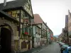 Turckheim - Calle con casas de madera con fachadas decoradas con signos de enólogos
