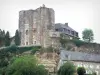 Turenne - Donjon du château de Turenne (tour du Trésor)