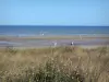 Utah Beach - Plage du Débarquement : plage d'Utah avec des oyats et des fleurs sauvages en premier plan