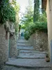 Vaison-la-Romaine - Rue étroite pavée de la cité médiévale (Haute-Ville) avec une maison, des murs en pierre, des plantes et des arbres