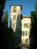 Vaison-la-Romaine - House and trees of the medieval town (high city)