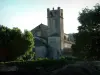 Vaison-la-Romaine - Cathédrale Notre-Dame-de-Nazareth et arbres