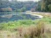 Val de Briey - La Sangsue-meer omgeven door groen