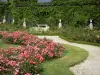 Val-de-Marne的玫瑰园 - 盛开的玫瑰