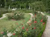 Val-de-Marne的玫瑰园 - 老玫瑰的集合