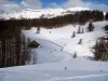 Valberg - Comprensorio sciistico della stazione: neve, alberi, montagne e delle nuvole in cielo blu