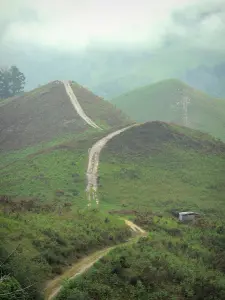 Vale do Aldudes - Caminho, enrolamento, auge, um, colina