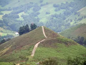 Vale do Aldudes - Passeie por um caminho no topo de uma colina verde