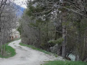 Vale do Clarée - Caminho arborizada