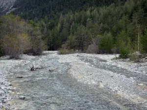 Vale do Clarée - Rio Clarée e árvores