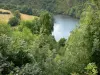 Vale do Creuse - Vista, de, a, Creuse, rio, alinhado, com, árvores, de, a, mirante, ponto, de, a, boucle du, alfinete