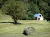 Vale da Resposta - Palheiro, árvore no meio de um pasto e casa de pedra; no Bigorre