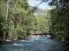 Vale Freissinières - Passarela que atravessa a torrente de Biaysse (Biaisse) e árvores à beira da água; no Parque Nacional dos Écrins
