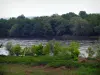 Vale do Loire - Rive, rio (Loire) e árvores na beira da água