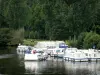 Vale Mayenne - Porto de Daon e seus barcos ancorados, rio Mayenne e costa arborizada