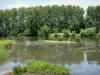 Vale do Sarthe - Rio Sarthe e banco plantado com árvores