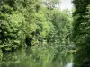 Vale do Sèvre niortaise - Rio Sèvre niortaise e árvores na beira da água