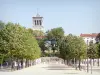 Valence - Esplanade du Champ de Mars et ses arbres avec vue sur le clocher de la cathédrale Saint-Apollinaire