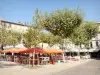 Valence - Terrasses de cafés de la place des Clercs, à l'ombre des arbres et des parasols